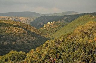  רומנטי מול הנוף